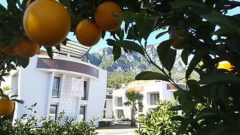 Appartement Han-de Homes *